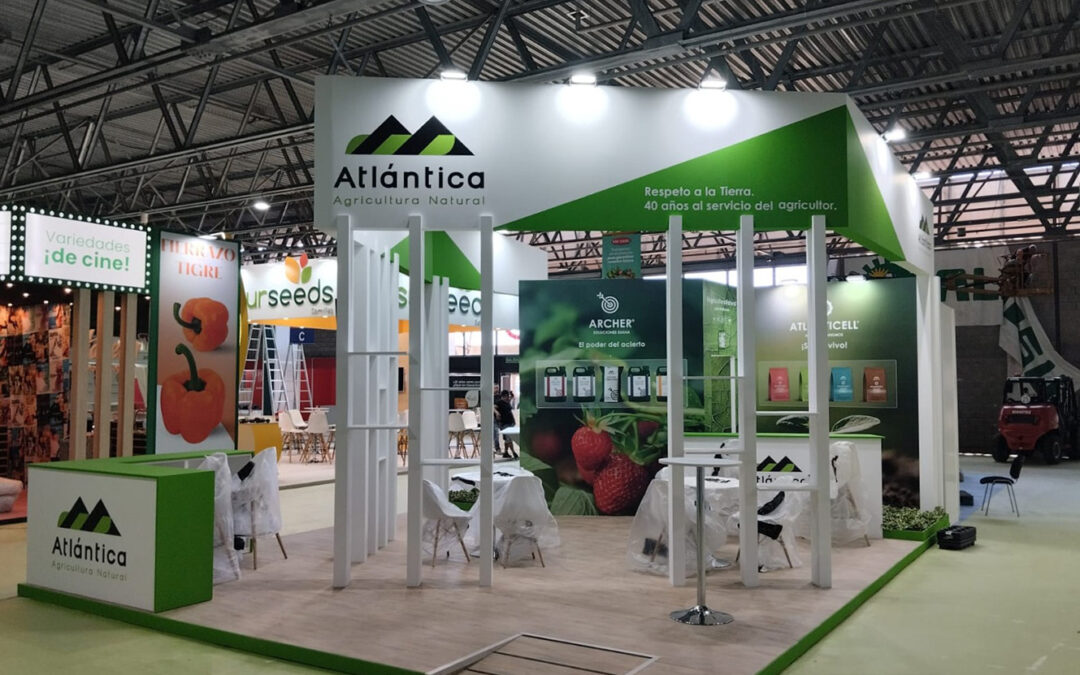 Grupo atlántica