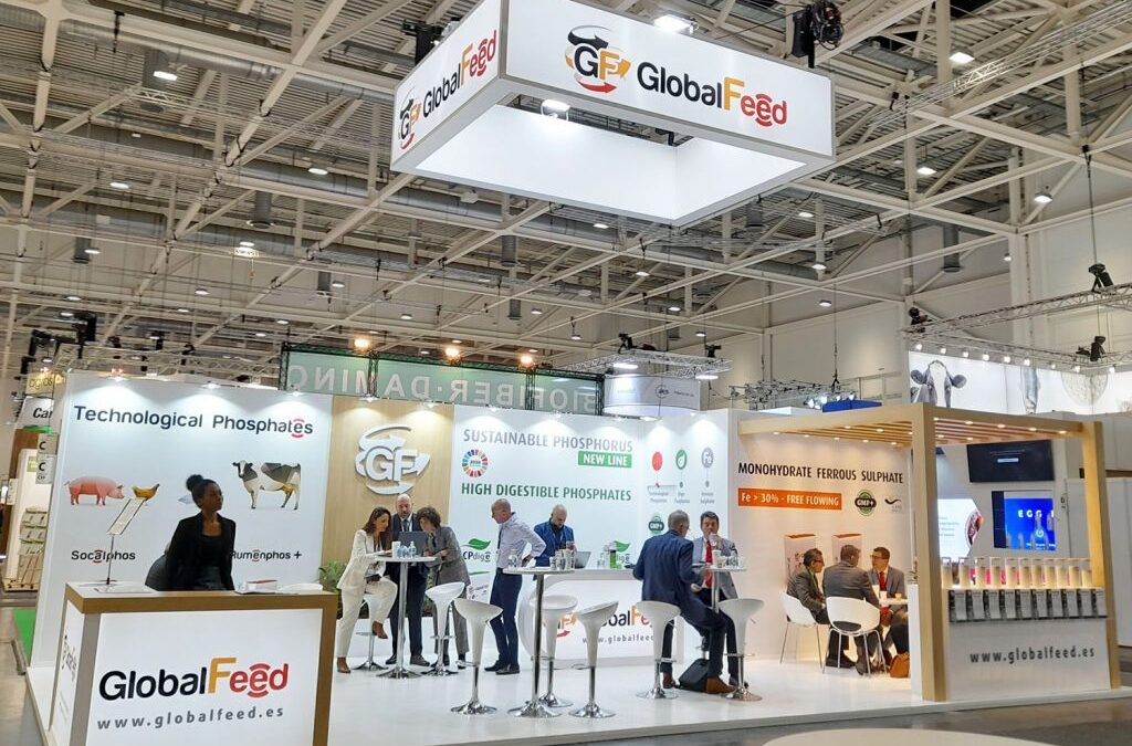 Global feed