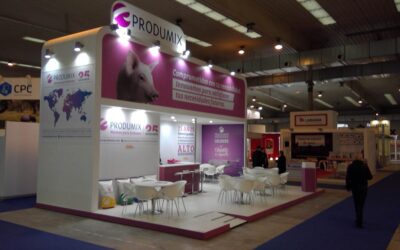 ¿Qué es un showroom?